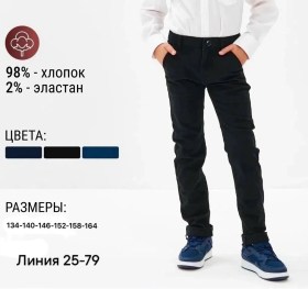Штаны