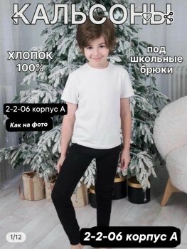 Штаны