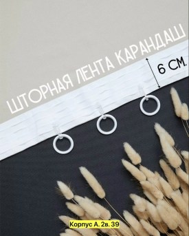 Одежда