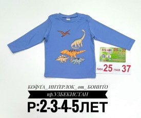 Толстовка