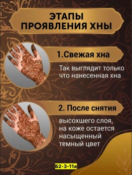 Одежда