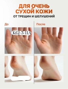 Одежда