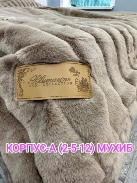 Одежда