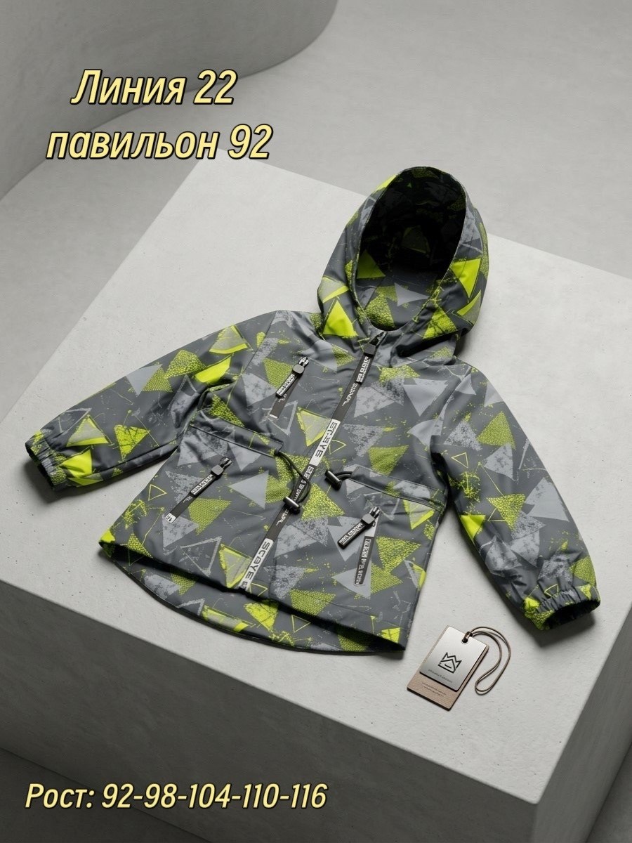 куртка демисезонная для мальчик,куртка демисезонная,куртка для мальчика,ветровка для мальчика,куртка весенняя для мальчика