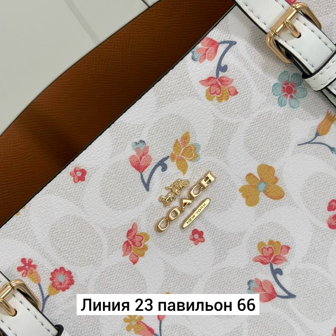 сумка,модная сумка,coach женская сумка,женская сумка,coach сумка шоппер