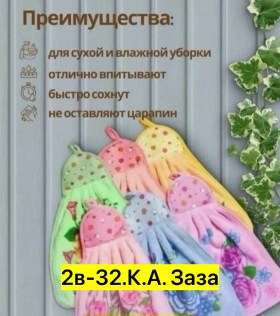 Одежда