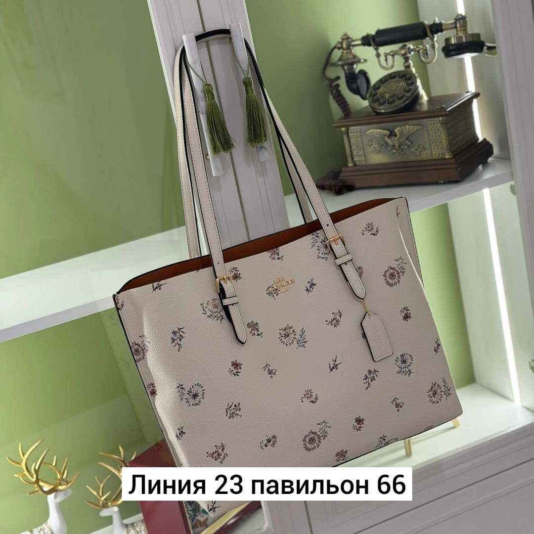 сумка,модная сумка,coach женская сумка,женская сумка,coach сумка шоппер
