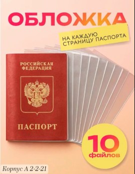 Одежда