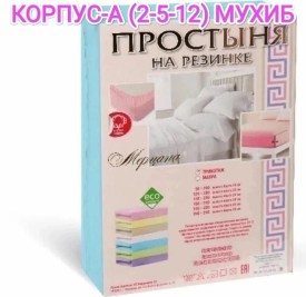 Одежда