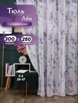 Одежда