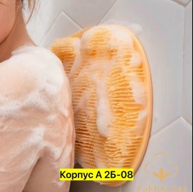 Одежда