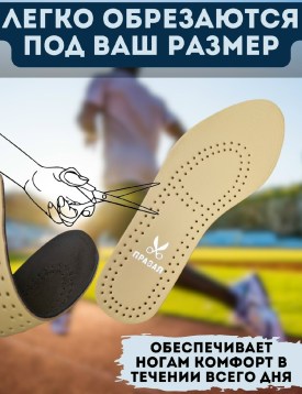 Одежда