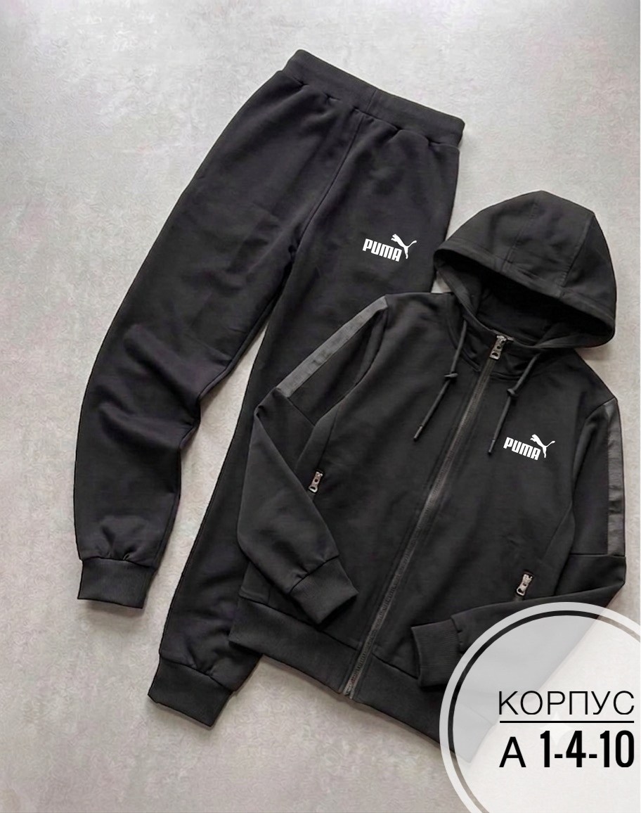 спортивный костюм мужской puma,спортивный костюм "puma",спортивный костюм мужской,демисезонные спортивные костюмы puma,костюм мужской puma