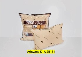 Одежда