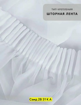 Одежда