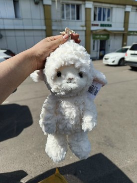 Сумка
