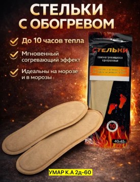 Одежда