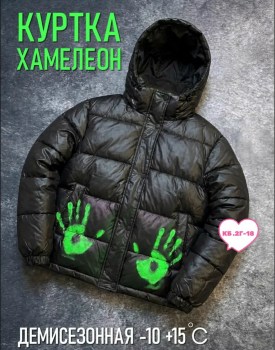 Верхняя одежда