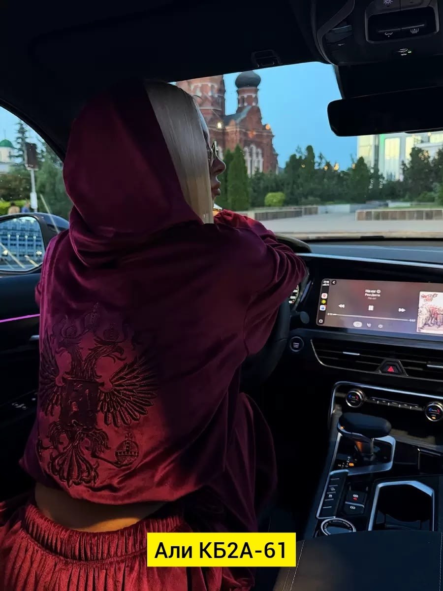 костюм велюровый,роскошные автомобили,спортивные костюм,спортивный велюровый костюм,велюровый костюм с принтом alisiaberry