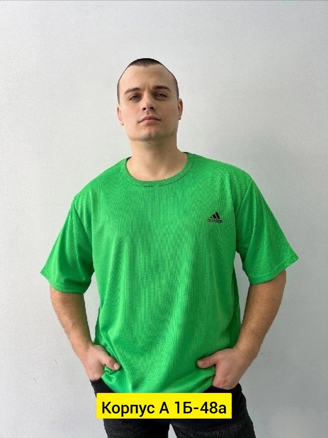 футболки женская,,женские футболки больших размеров,женская кофта,футболке
