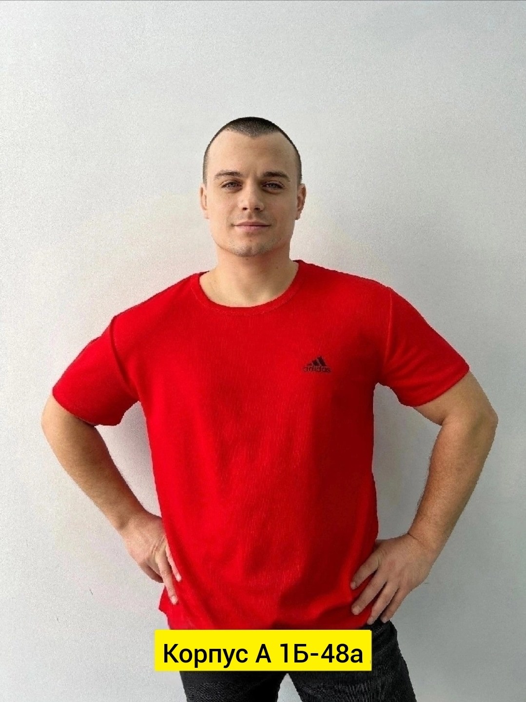 футболки женская,,женские футболки больших размеров,женская кофта,футболке