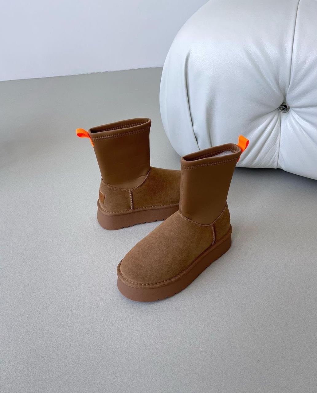 угги женские,угги женские ugg,,сапоги угги ugg tazz slippers chestnut,короткие сапоги