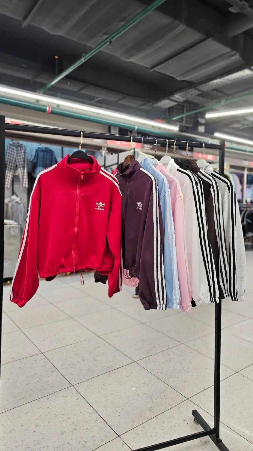 олимпийка adidas originals,adidas original,демисезонная куртка adidas,спортивная куртка adidas originals,олимпийка голубоглазка адидас