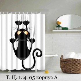 Одежда