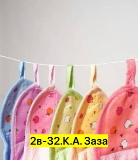 Одежда