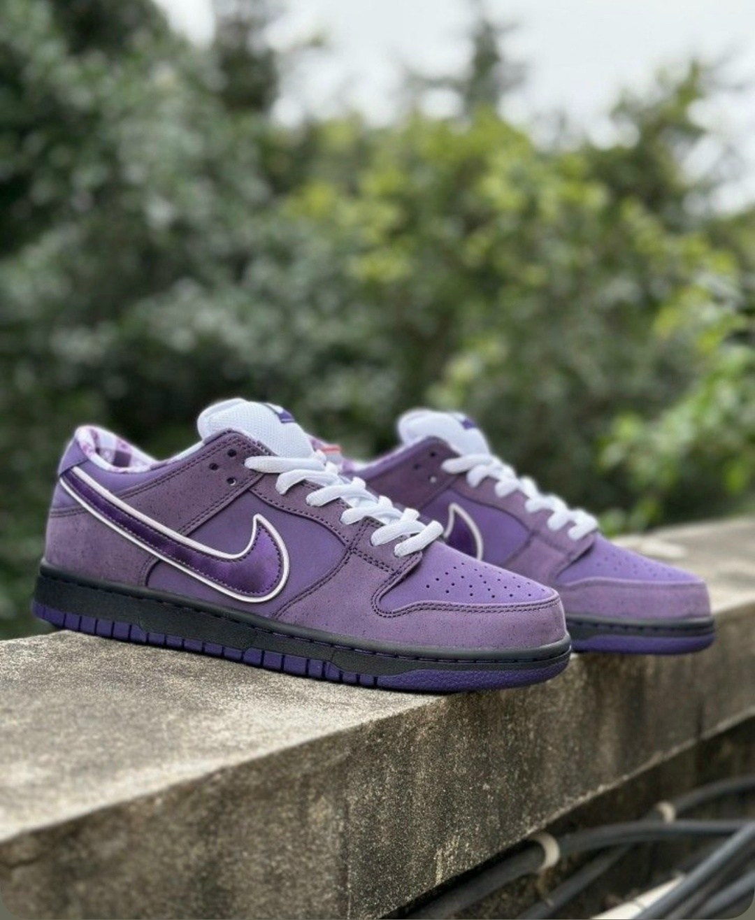 nike sb dunk low purple lobster,кроссовки nike sb dunk low "purple lobster",nike sb dunk low purple,кроссовки nike sb dunk low purple,nike sb dunk low concepts purple lobster