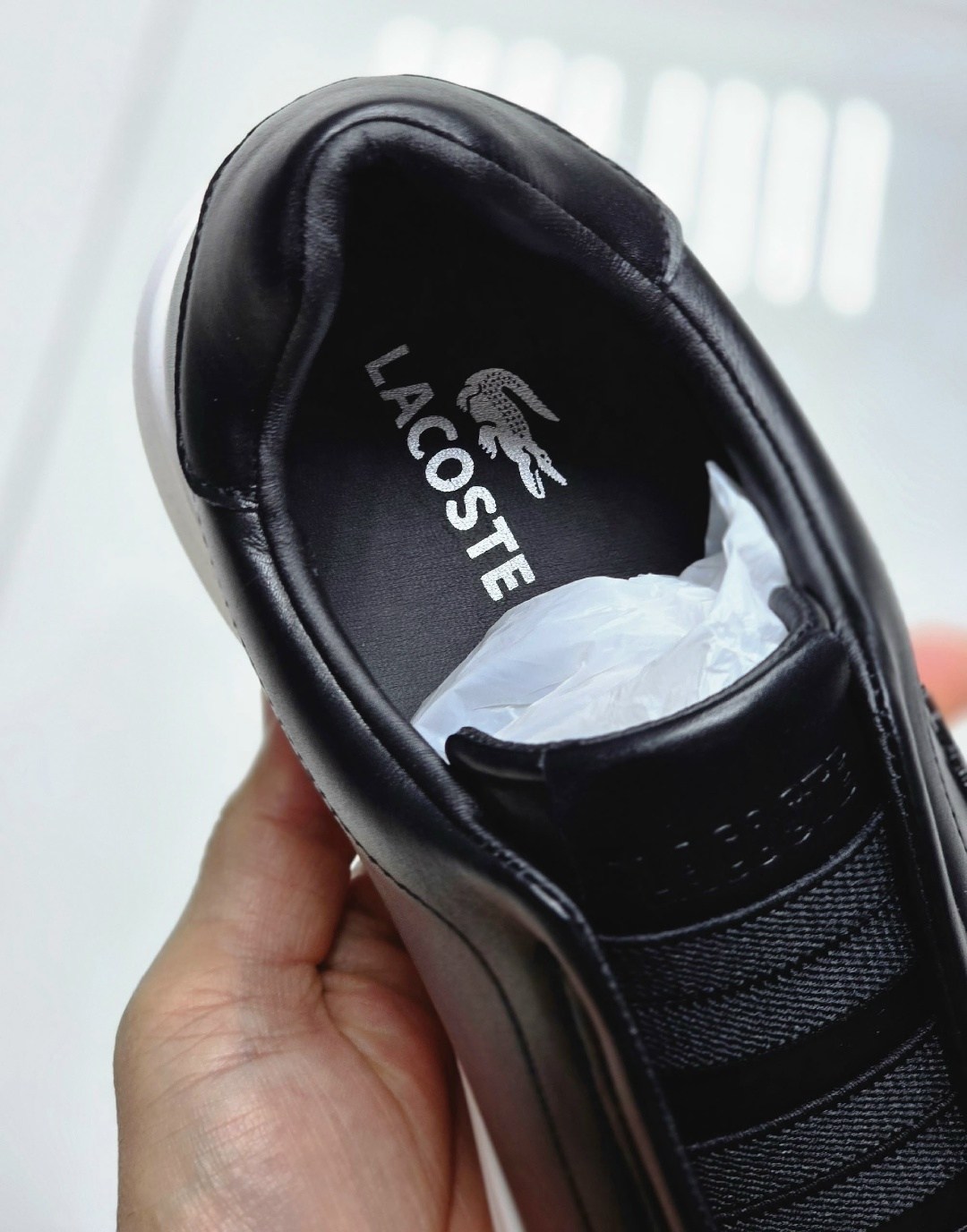 ,кроссовки lacoste, лакоста,кроссовки мужские lacoste,кеды lacoste