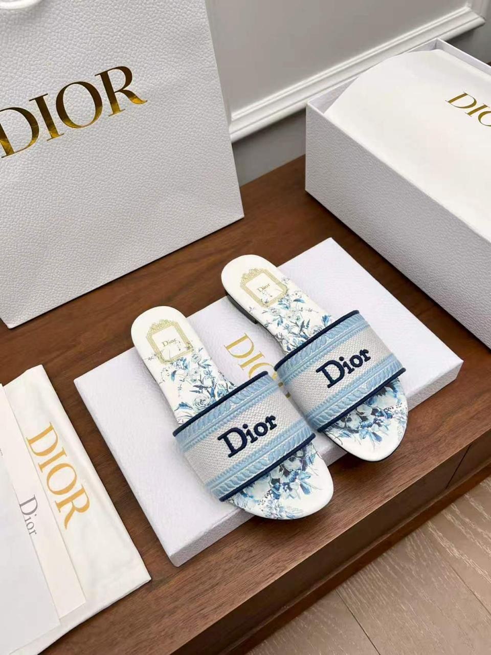 christian dior шлепанцы коллекция 2026,шлепанцы christian dior,шлепки кристиан диор,шлепки диор,шлепки диор женские