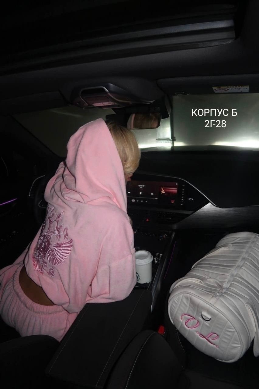 спортивные костюм,костюм,спортивные костюмы женские,толстовки женская,толстовка