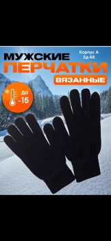 Одежда