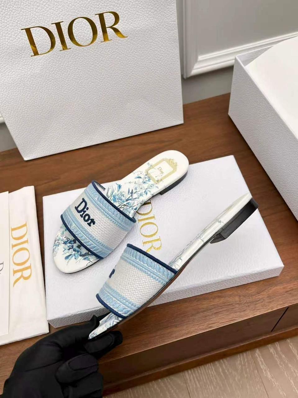 christian dior шлепанцы коллекция 2026,шлепанцы christian dior,шлепки кристиан диор,шлепки диор,шлепки диор женские