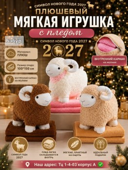 Одежда