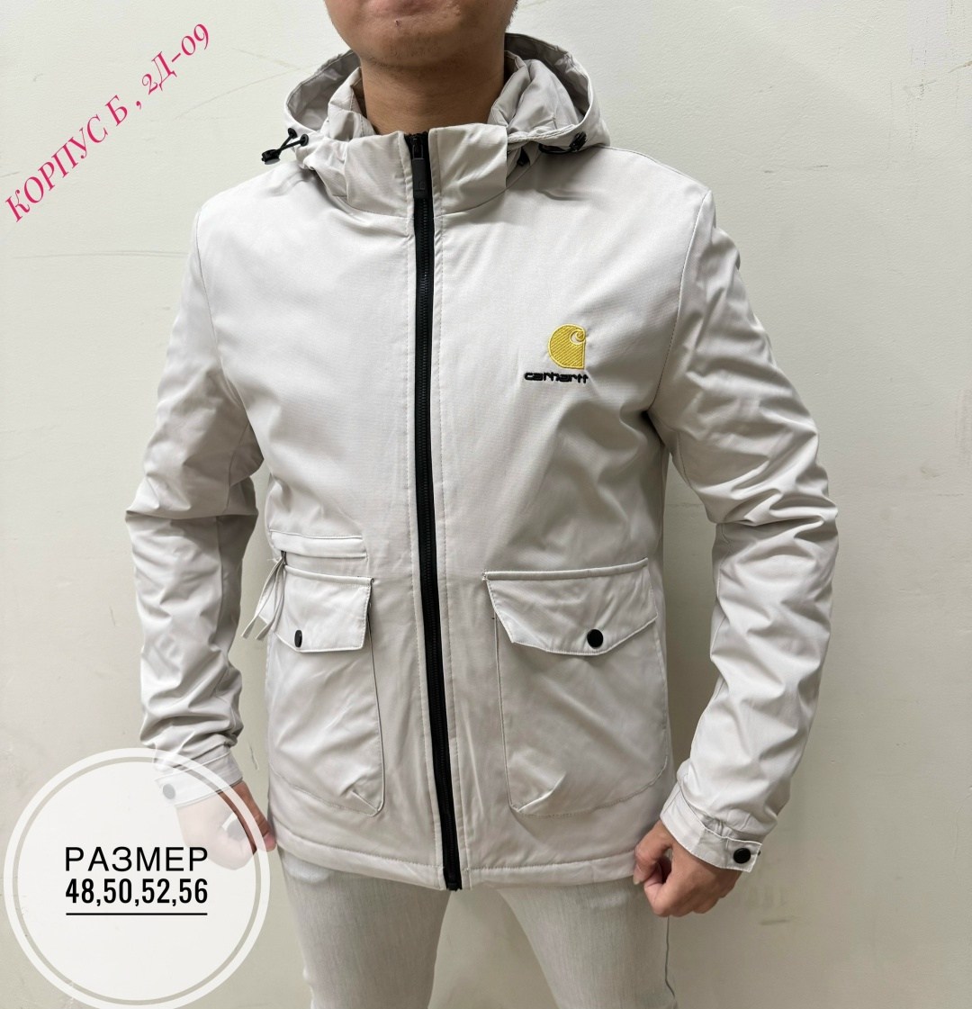 куртка осенняя мужская,куртка мужская carhartt,демисезонная куртка carhartt,мужская демисезонная куртка,куртка