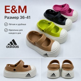Сланцы