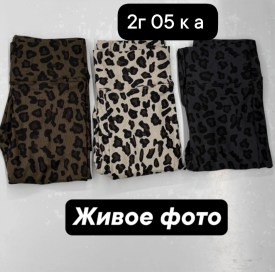 Леггинсы