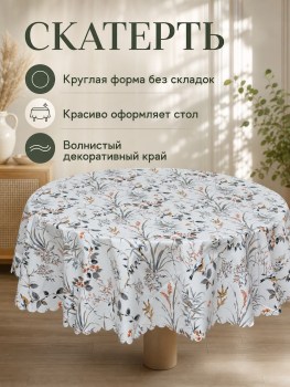Одежда