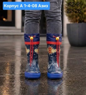 Сапоги