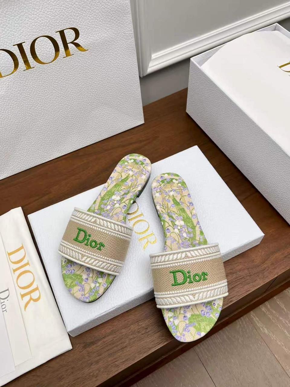 christian dior шлепанцы коллекция 2026,шлепанцы christian dior,шлепки кристиан диор,шлепки диор,шлепки диор женские
