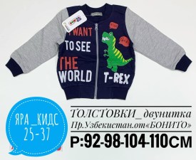 Толстовка