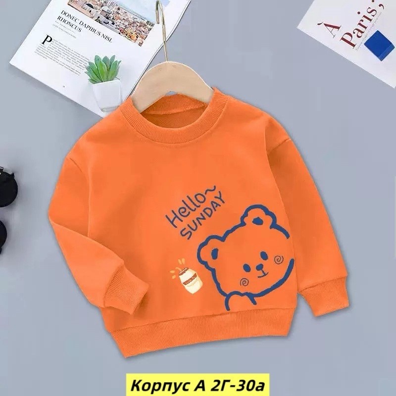 свитшот для мальчика,детский свитшот,свитшот для малыша,толстовка для малыша,кофта теплая