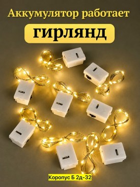 Одежда