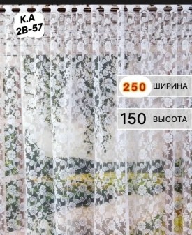 Одежда