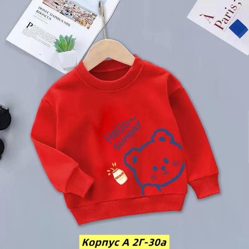 свитшот для мальчика,детский свитшот,свитшот для малыша,толстовка для малыша,кофта теплая