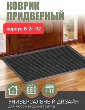 Одежда