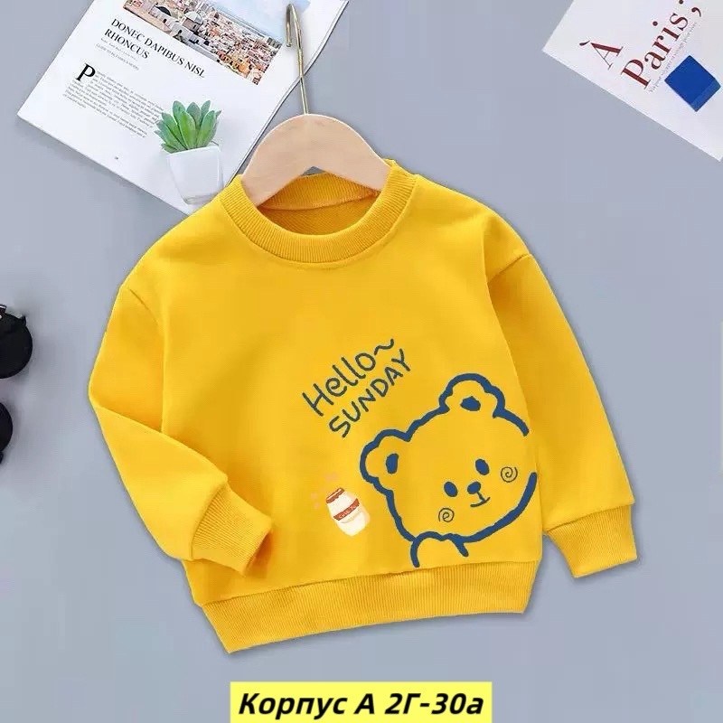 свитшот для мальчика,детский свитшот,свитшот для малыша,толстовка для малыша,кофта теплая