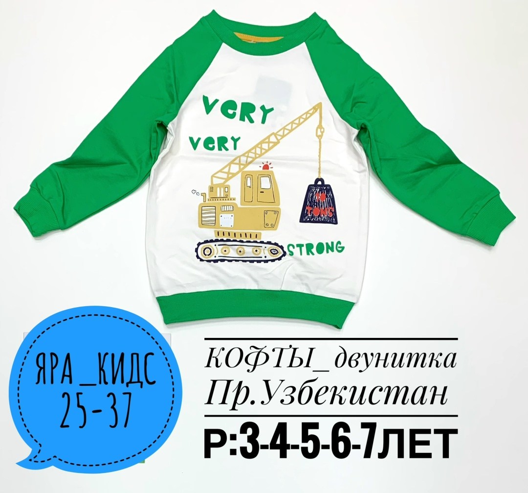 кофта для мальчика,толстовка для мальчика,джемпер детский,детский свитшот,джемпер для мальчика